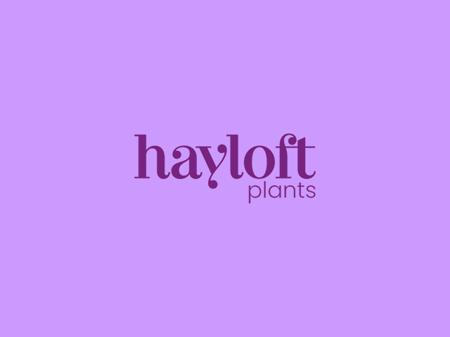 Hayloft Plants