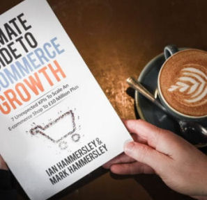 Paid Search Consultancy